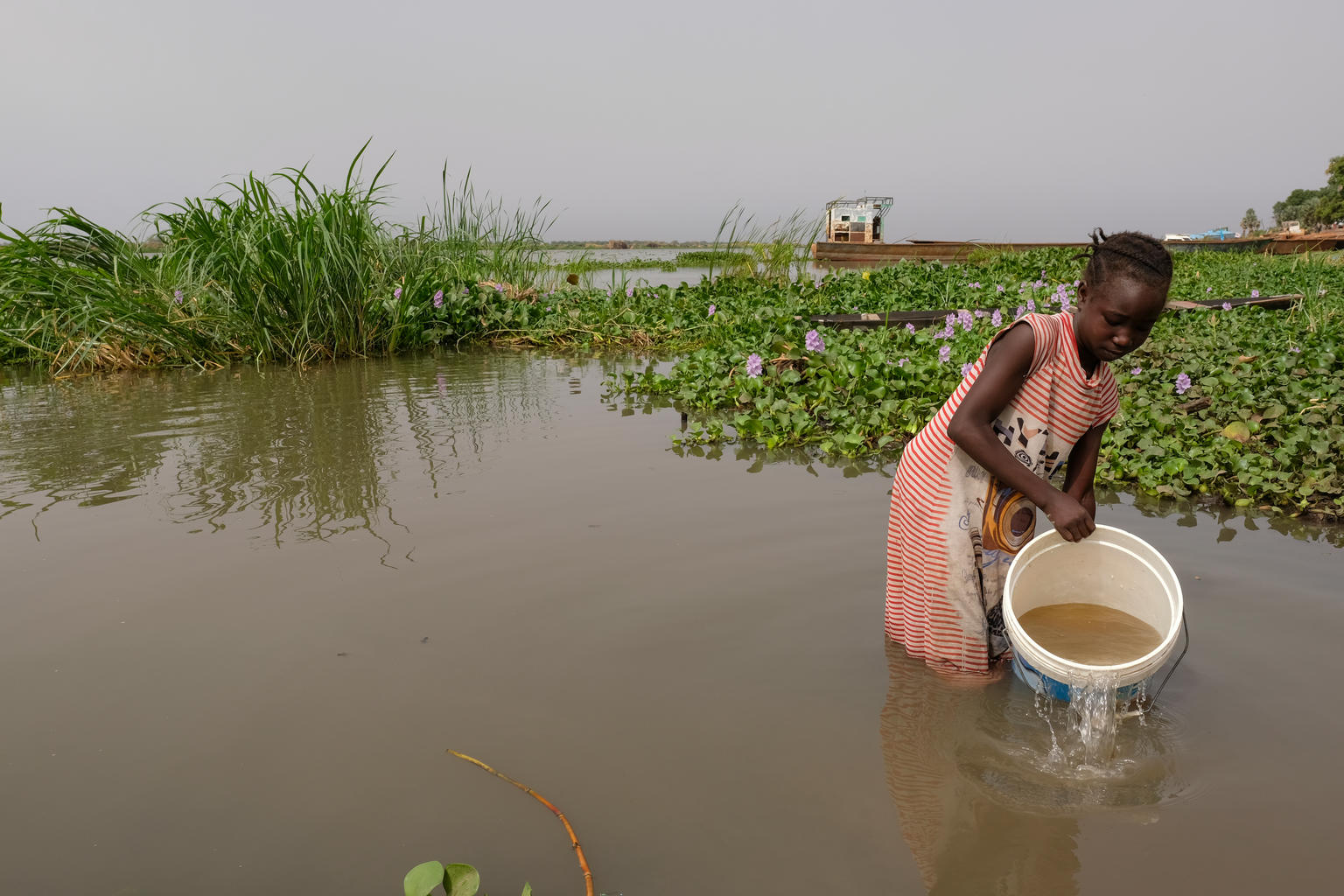 Compendium of WHO and other UN guidance on health and environment | UN ...